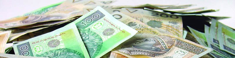 Taka kasa – od Dzimasa! RRSO 6,99% od 1 000 do 250 000 PLN!